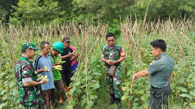 Dandim 0619/Purwakarta Apreasiasi Demplot Pertanian di Desa Cianting Utara