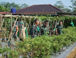 DANDIM 0619/PURWAKARTA LAKUKAN PENINJAUAN DEMPLOT KORAMIL 1901/WANAYASA