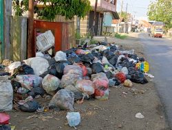 Warga Keluhkan Tumpukan Sampah Dijalan Raya Provinsi Sadang – Subang