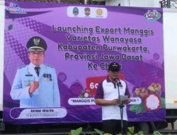 Purwakarta Kembali Ekspor 600 Ton Manggis Varietes Wanayasa Ke Cina