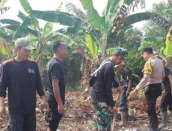 Dukung Program Ketahanan Pangan, Polsek Campaka Ajak Warga Manfaatkan Lahan