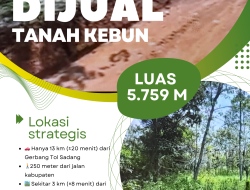 Dijual Kebun Strategis di Bongas Kolot Desa Cikadu Cibatu Purwakarta, Peluang Investasi Menjanjikan!