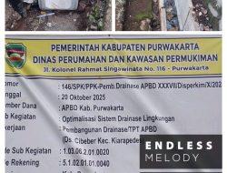 Pekerjaan Drainase oleh CV Lokakarya Sejahtera Dinilai Rapi dan Sesuai Spek