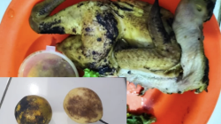 Kualitas MBG Dipertanyakan, KPLHI Desak Dinkes Purwakarta Lakukan Cross Check Menyeluruh Terutama di Wilayah Campaka