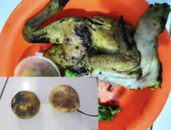 Kualitas MBG Dipertanyakan, KPLHI Desak Dinkes Purwakarta Lakukan Cross Check Menyeluruh Terutama di Wilayah Campaka