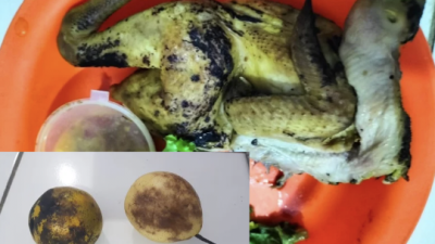 Kualitas MBG Dipertanyakan, KPLHI Desak Dinkes Purwakarta Lakukan Cross Check Menyeluruh Terutama di Wilayah Campaka