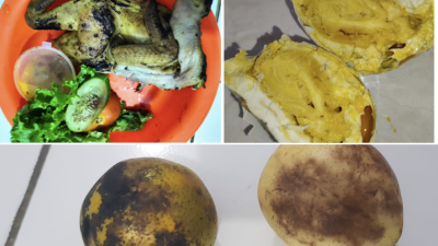 Dugaan Pelanggaran Standar Pangan, KPLHI Desak Dinas Terkait Dan BGN Turun Tangan di SPPG Campakasari